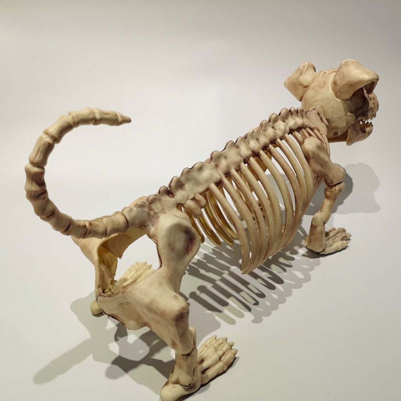 Halloween A Tema Partito Ornamenti Spaventoso in Piedi Scheletro canna Orribile infestato Casa disposizione di Scena Decorazione di oggetti di Scena