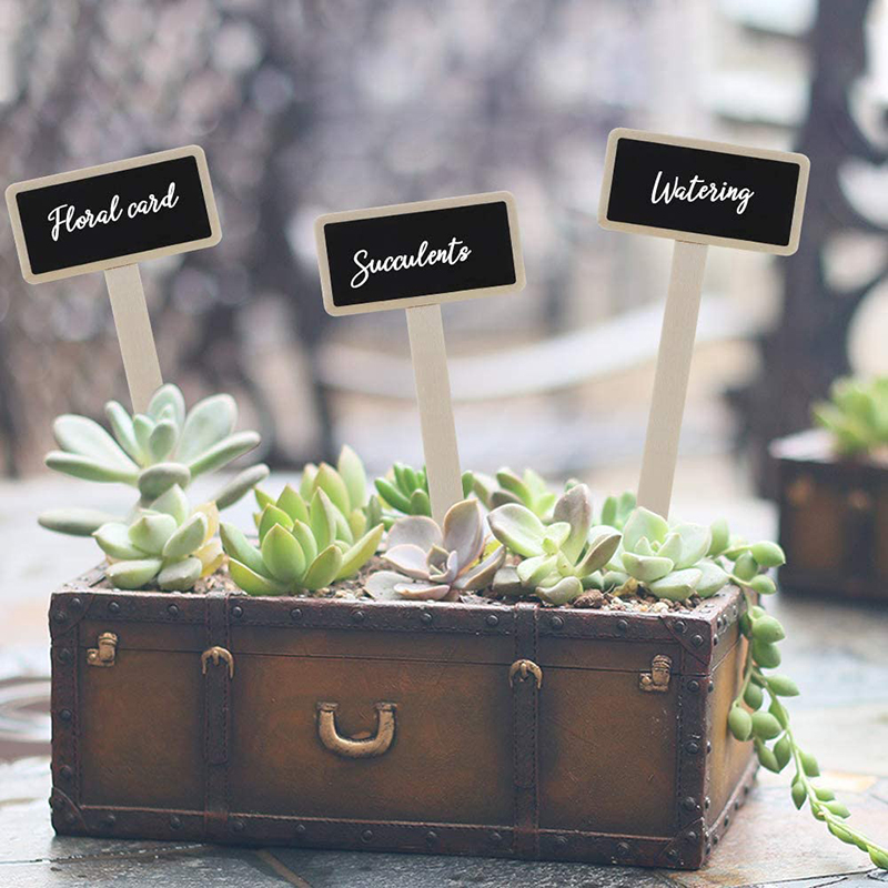 Esschert Design Hinweisschild Schiefer Pflanz Schilder Blumen Pflanzen Stecker Etikett Garten