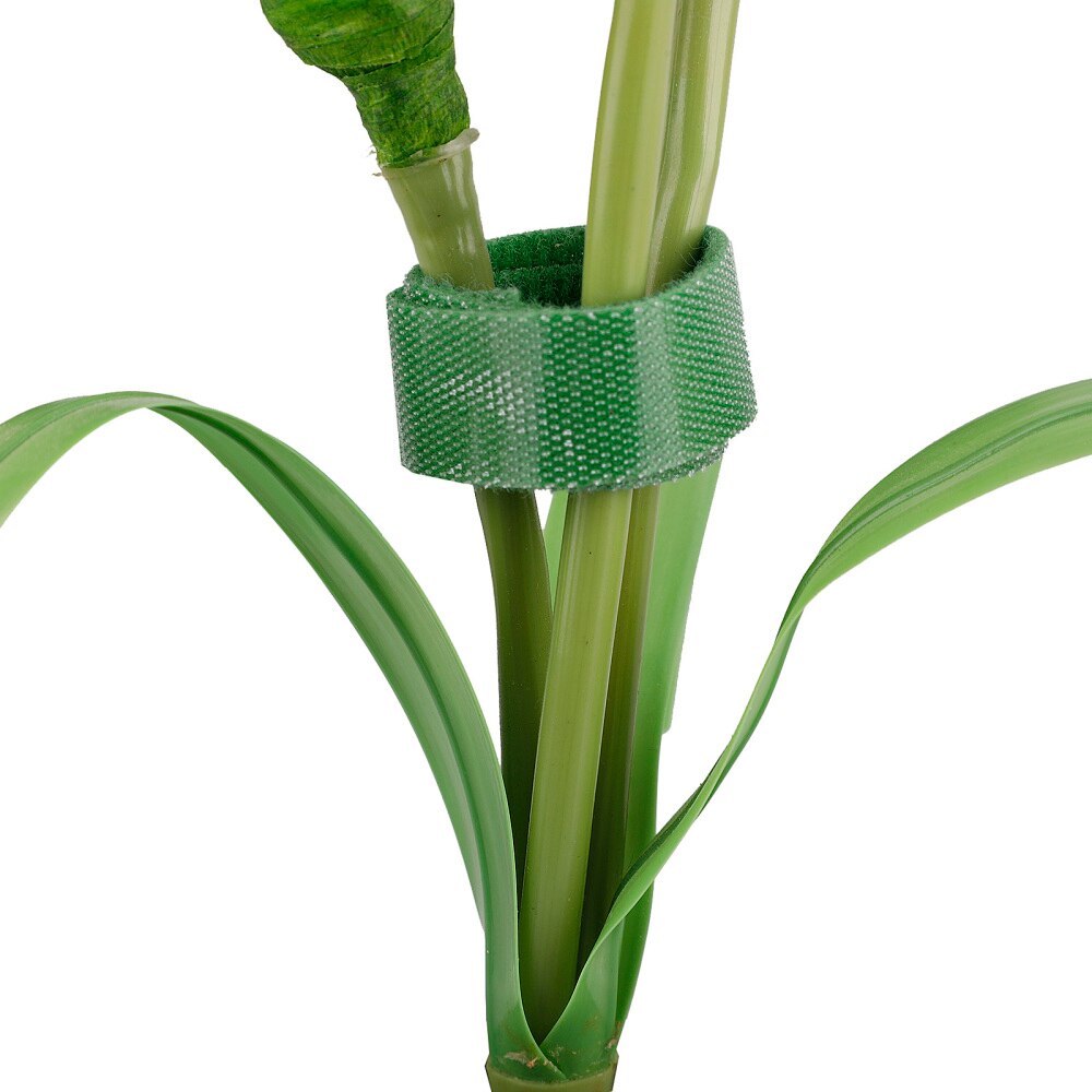 Plant Bandage Tuin Wrap Vaste Bandjes Clip Strapping Gesp Herbruikbare Duurzaam Nylon Wijnstokken Gebonden Hulpmiddel Blended Kas Lianen