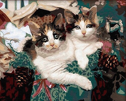 HUACAN, pintura por números, Kits pintados a mano de gatos, pintura al óleo DIY de lienzo para dibujar por números, decoración para el hogar,: SZHC310