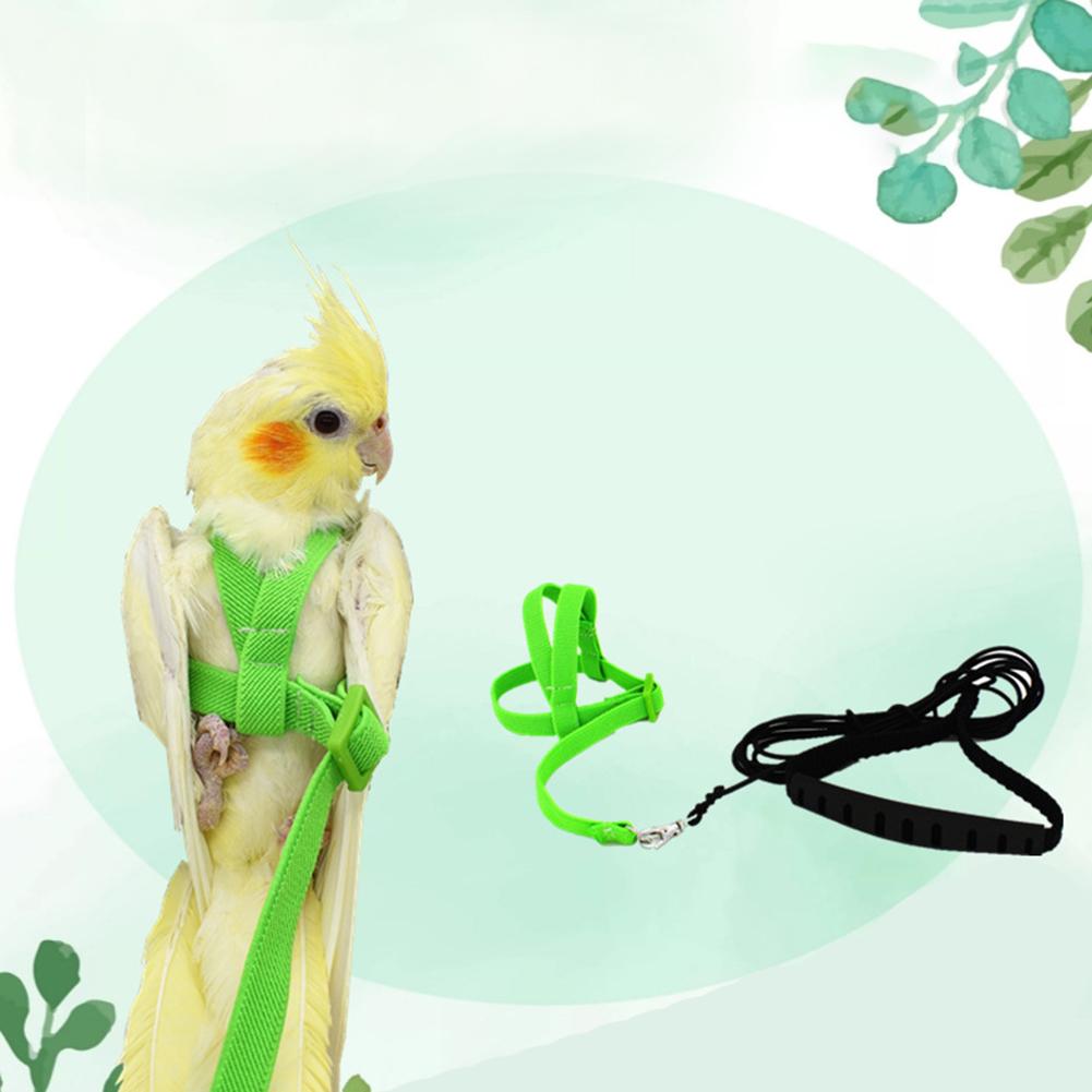 Huisdier Vogel Harnas Verstelbare Parrot Leash Harness Training Touw Vliegende Band Vogel Touw Outdoor Training Touw Riem Wandelen Lead