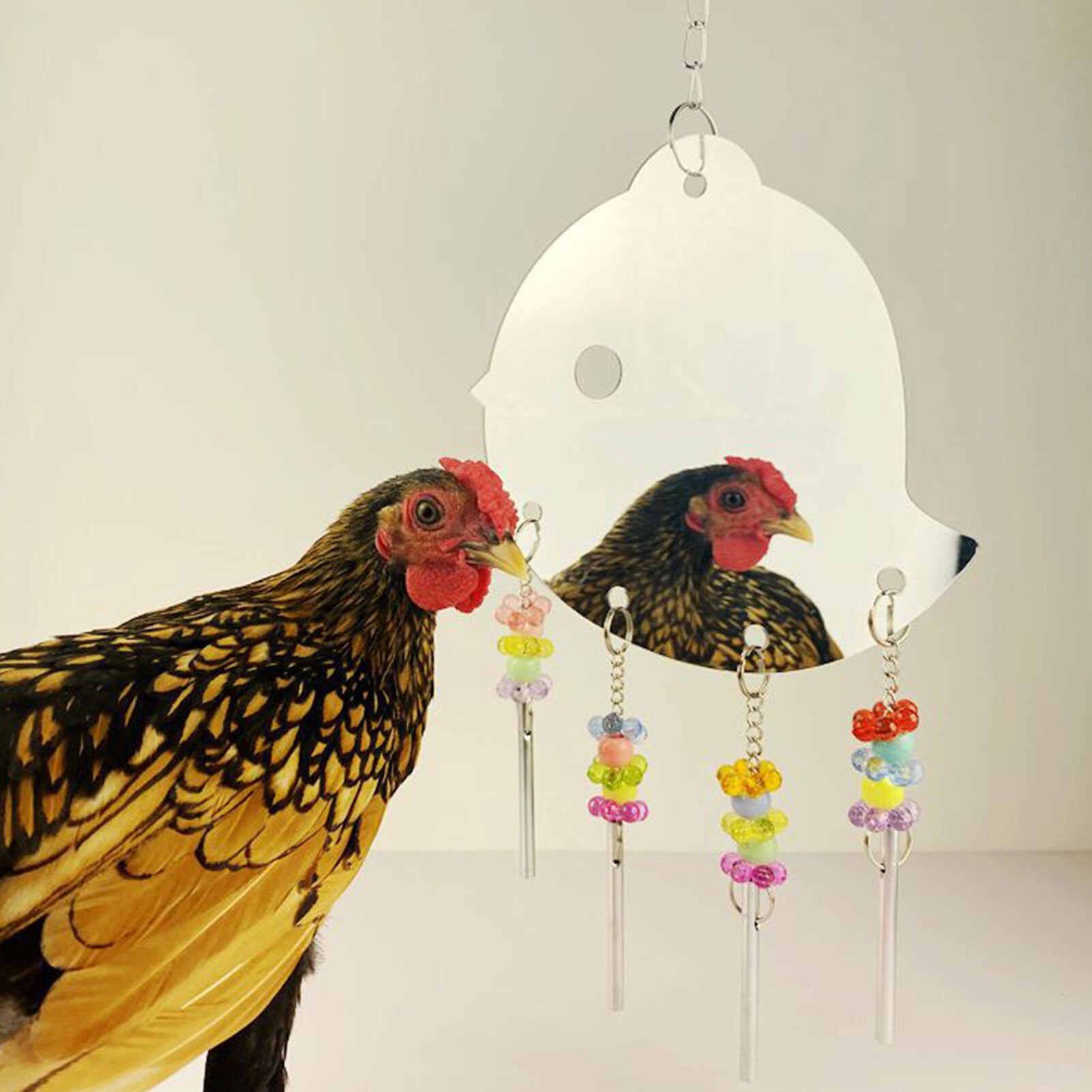 Chica gallina Gallo grandes espejos de juguete para mascotas de pollo suministros chica gallina Gallo grandes espejos de juguete para mascotas de pollo suministros