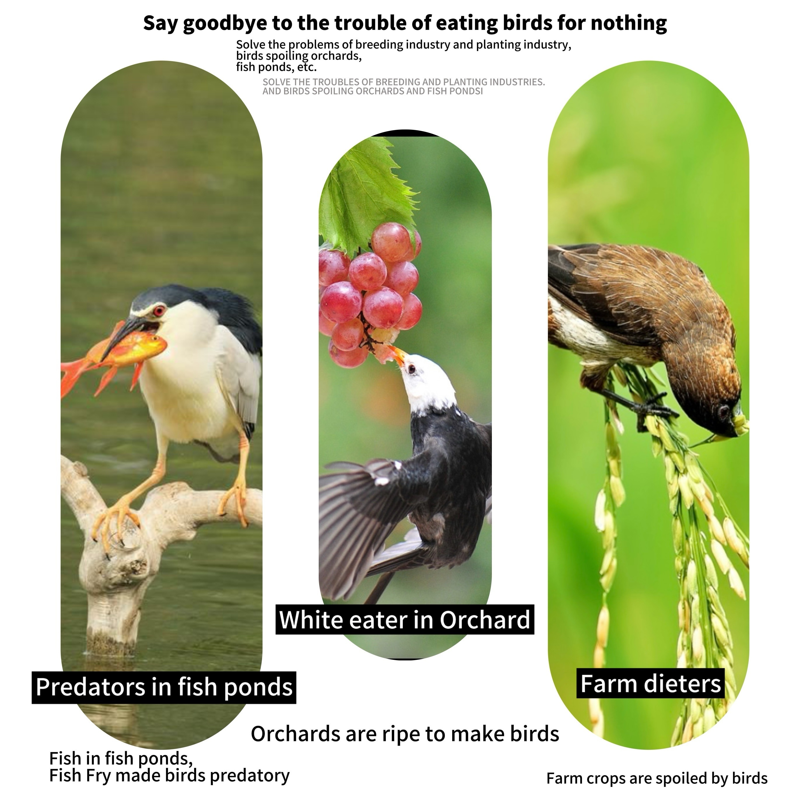 1 Stück, Vogelschutznetz, feinmaschiges Vogelnetz, Katzennetz für Balkone ohne Bohren, Blattnetz für feinmaschiges Teichabdeckungsnetz