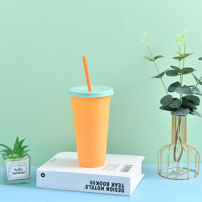 Reusable Plastic Temperature Color Changing Cold Cup Summer Magic Coffee Thermochromic Mug Water Bottles With Straws Party Cups: 10