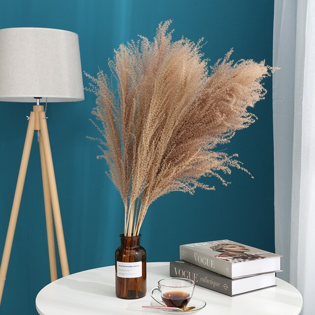 10 st pampas gräs dekor phragmites & vass blommor hem juldekoration torkad blombukett naturliga växter