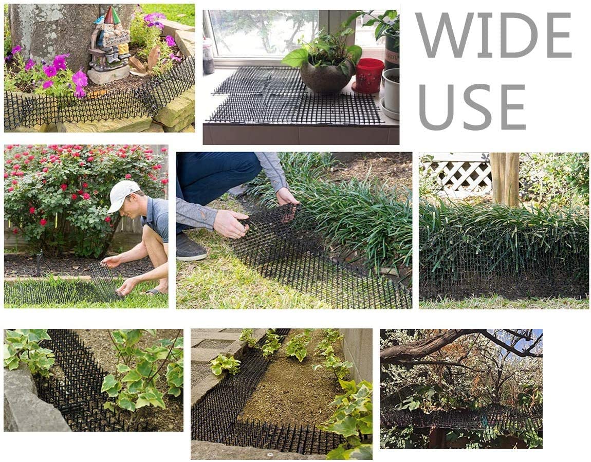 Red antigatos de 2M para jardín, Malla Protectora multifunción, PP, para prevenir espinas de gato, para plantas de jardín