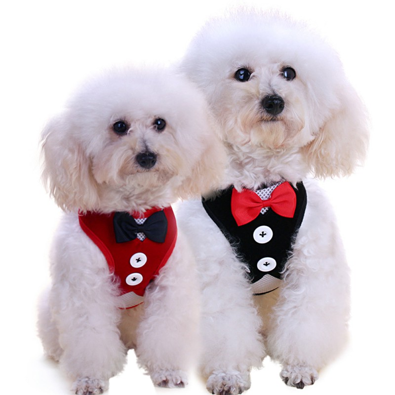 Mode Strik Dog Harness Met Leash Set Voor Hond Verstelbare Puppy Borst Hond Harness Leads Set Voor Kleine Medium Huisdier accessoires