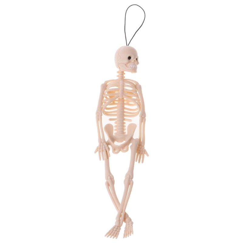 Skelet Menselijke Schedel Model Full Body Mini Figure Speelgoed Telefoon Hanger Halloween