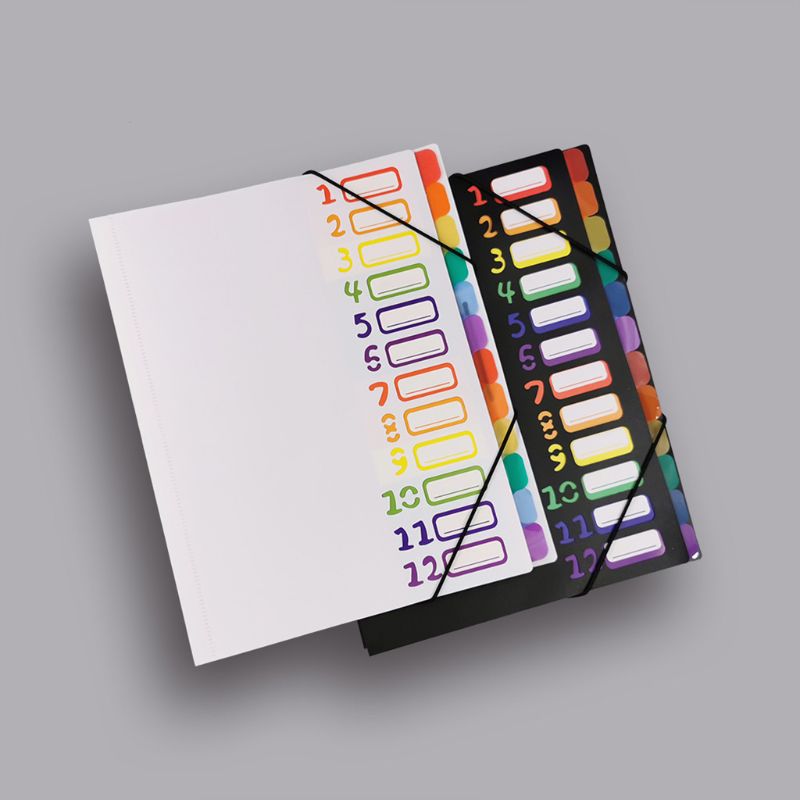 12 In Multi-Page Classification Folder Holder Storage Bag A4 File Sorter Helper