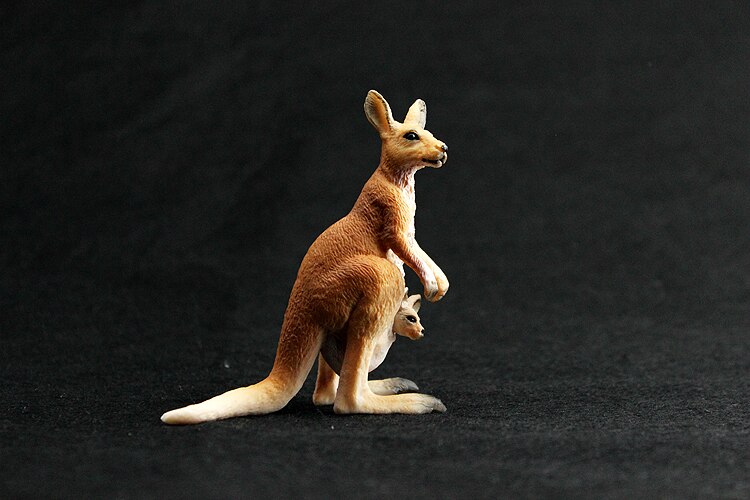Simulatie Dierentuin Model Speelgoed Wildlife Wereld Australië Kangoeroe model educatief speelgoed