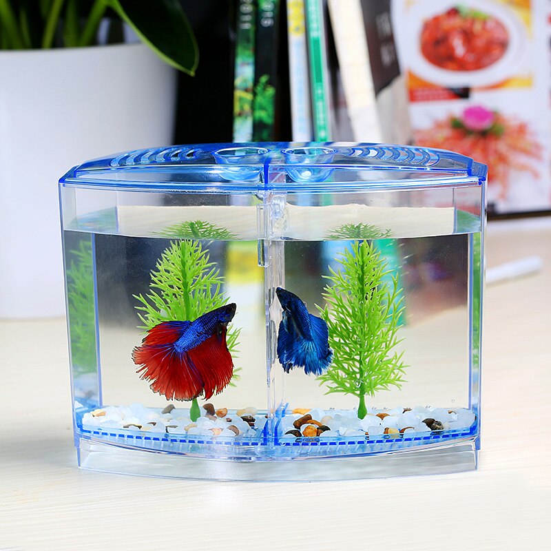Mini bol à poissons, réservoir Betta d'aquarium en acrylique, incubateur pour Isolation des fritures, écloserie, enclos, poissons Guppy, Reptile, maison de tortues AT005