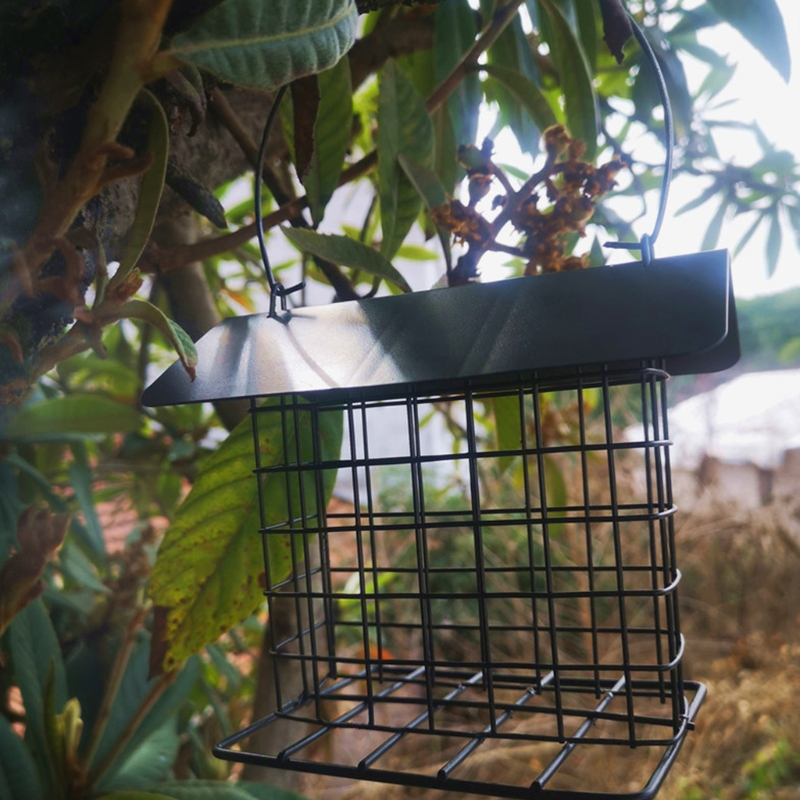 Squirrel Proof Double Suet Wild Bird Feeder with Hanging Metal Roof