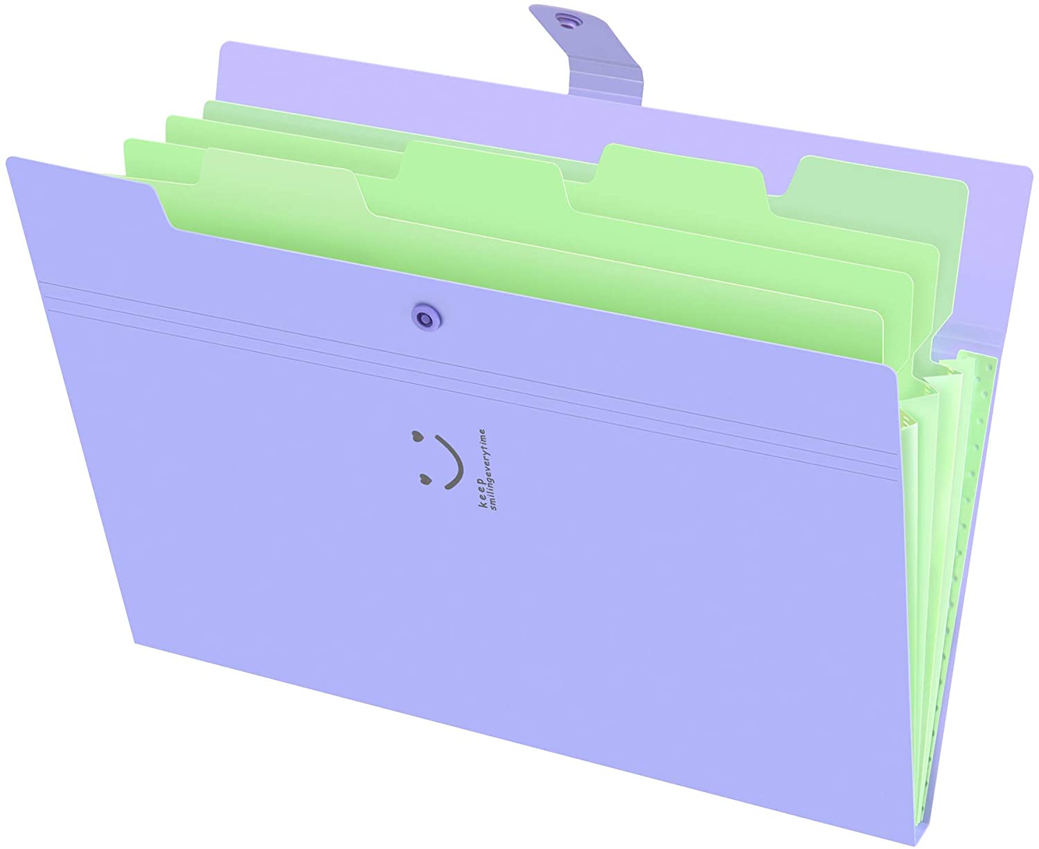 Expanding File Folders 5 Pockets Document Organizer A4 Letter Size Plastic File Folder with Labels Document Holder: Purple