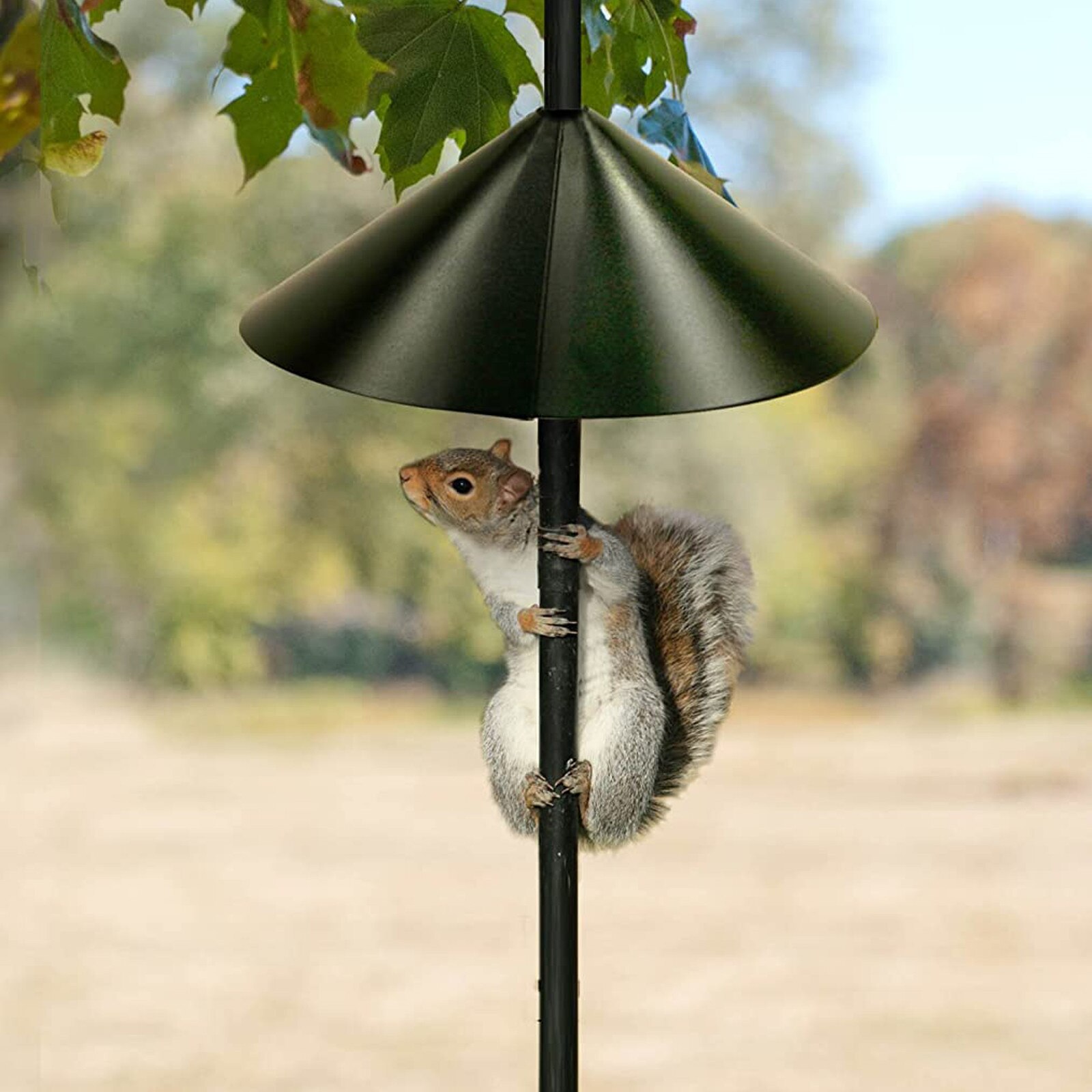 16-inch Squirrel Baffle For Poles Squirrel Partition Foldable Squirrel Cover Cages Bezel Garden Decoration