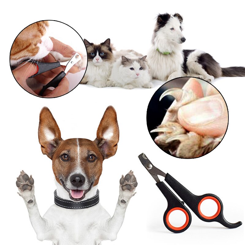 Kat Cutter Kat Hond Nagelknipper Puppy Klauw Nagelschaartje C... – Grandado
