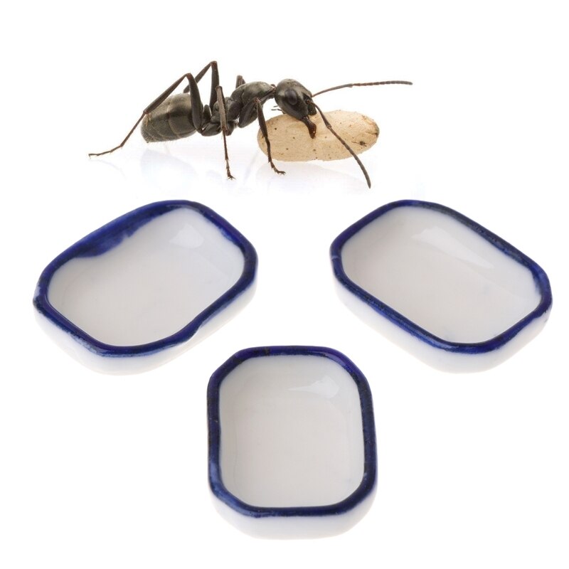 Granja de hormigas, alimentador de comida, nido de insectos, casa de campo, agua, tazón de alimentación, suministros de hormigas, 3 uds.