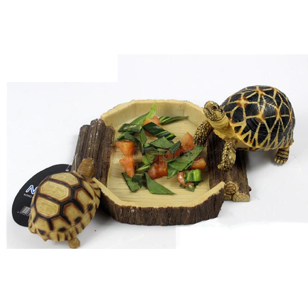 Plato de agua y comida, cuenco, bandeja, terrario, decoración para reptiles, tortugas, serpientes, 16x15x2,5 cm