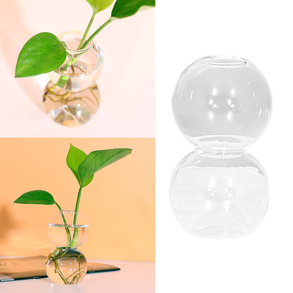 Bubble Glass Vase Green Plants Hydroponics Planter Housewarming Decorative