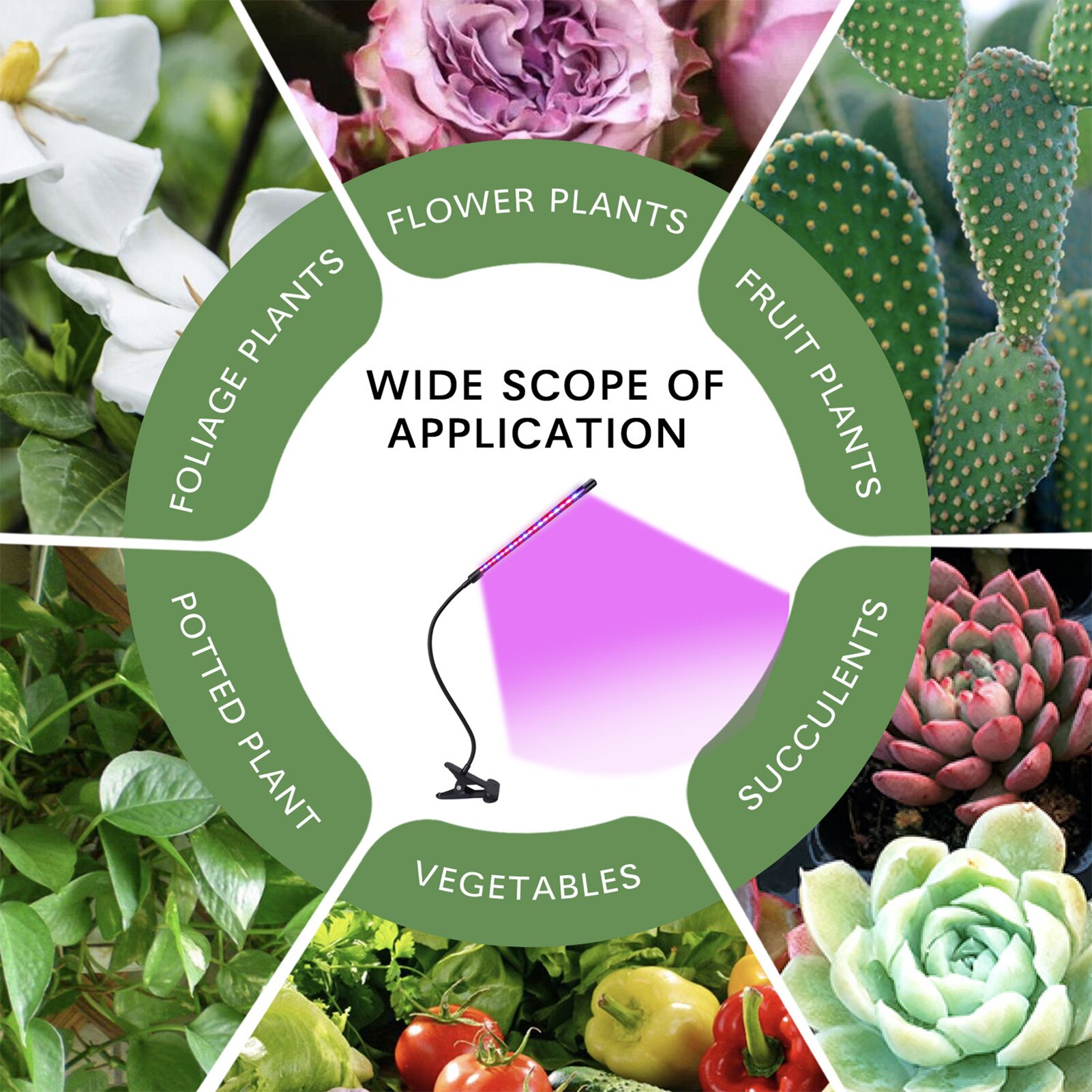 Full Spectrum Phytolamps Plant Growth Lamp Automatic Timing USB Seeding Light 9Kinds Of Dimmable Modes And 3Kinds Of Switch Mode