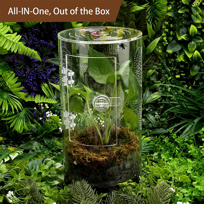 Insect Feeding Cage Spider Lizard Scorpion Arboreal Enclosure Case Acrylic Reptile Breeding Box Transparent Terrarium Habitat