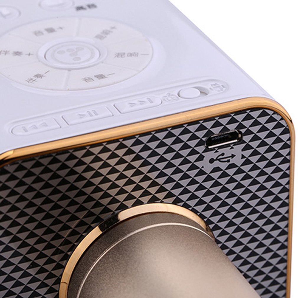 Q9 Wireless Karaoke Microphone Speaker 2in1 Handheld Sing & Recording