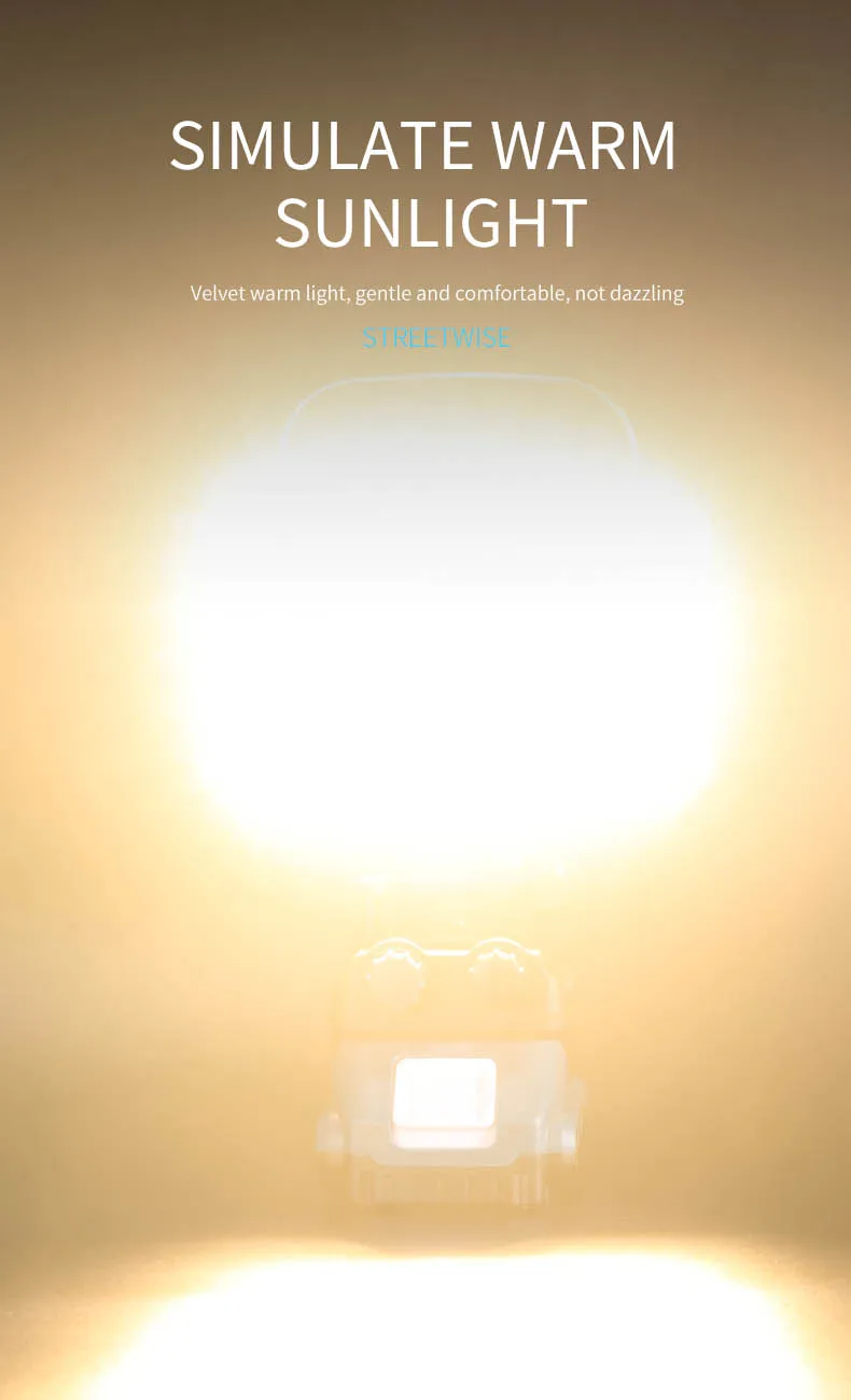 Buitenverlichting Projector Tuinverlichting Thuisgebruiker Batterijduur Projector Noodverlichting zonder batterij