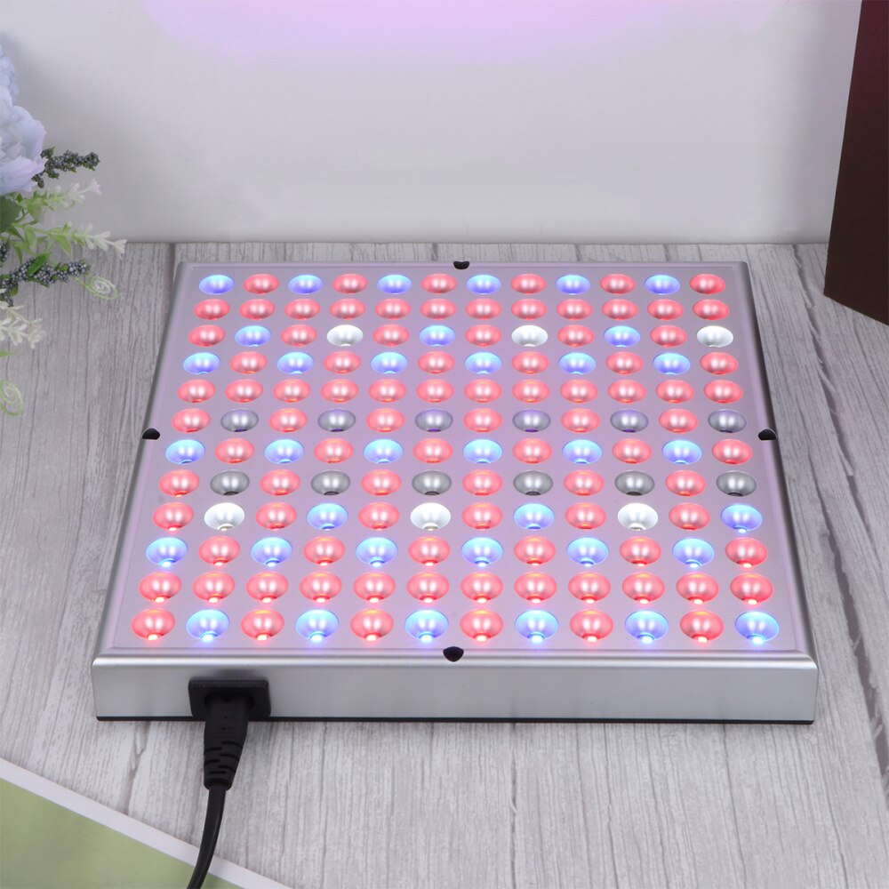 Led 45W Praktische Led Plant Plein Grow Light Succulent Volledige Spectrum Lamp Kasplant Light Lamp (45W uk Plug)