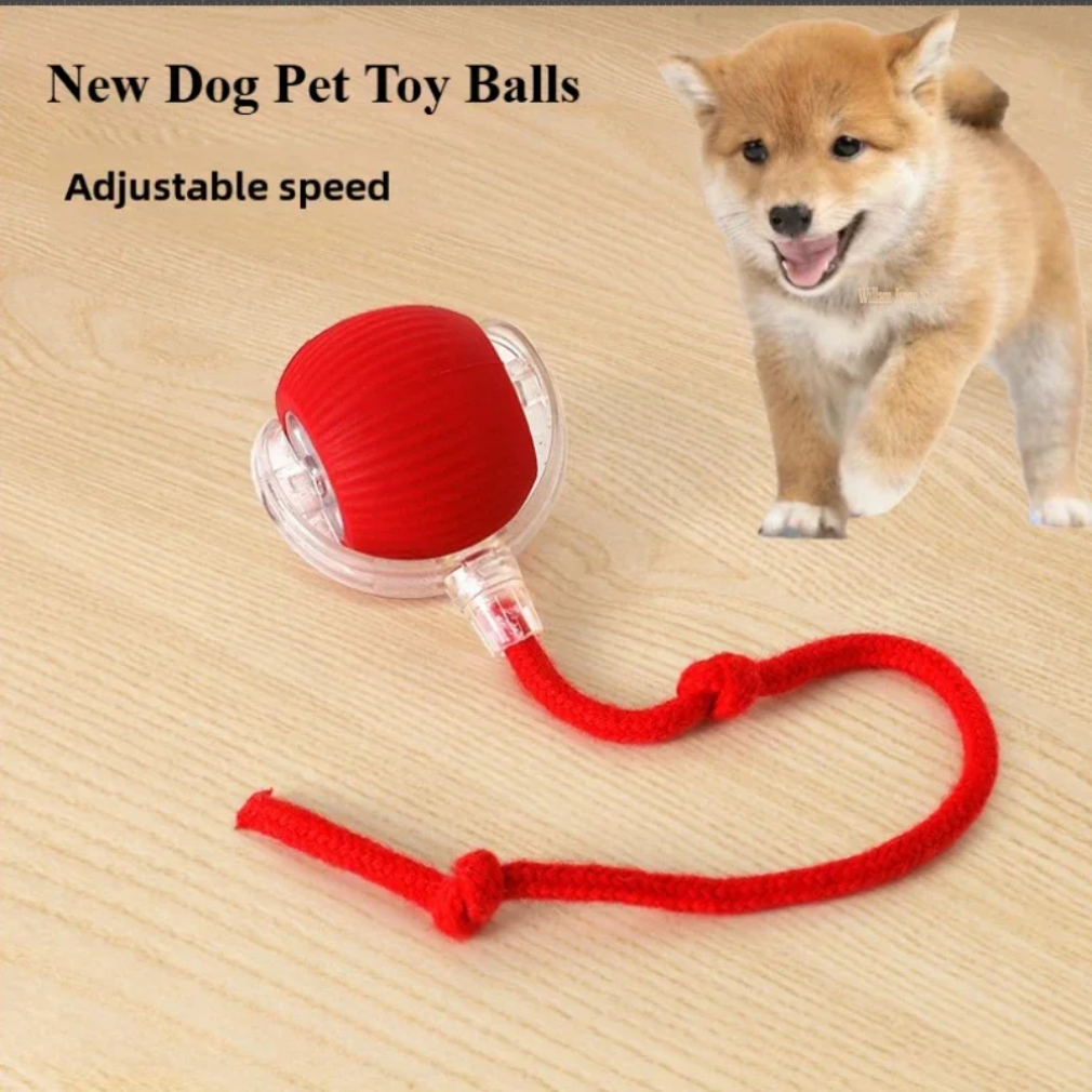 Bola rodante automática interactiva inteligente recargable para mascotas, productos para mascotas, juguete eléctrico con pelota para perros, cola simulada para gatos