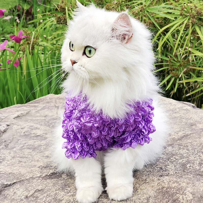 Pet Cat Clothes for Cats Costumes Dog Clothes Warm Dog Cat Hoodie Clothing Pet Clothes Kitten Pets Outfit Animals Pets Costume