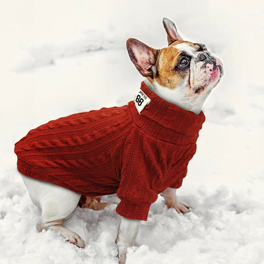 Pull tricot pour animaux chat | Chiot, chien, tricot , pulls classiques, tricot à col roulé, petits chiens, chaton chats, vêtements tricot doux