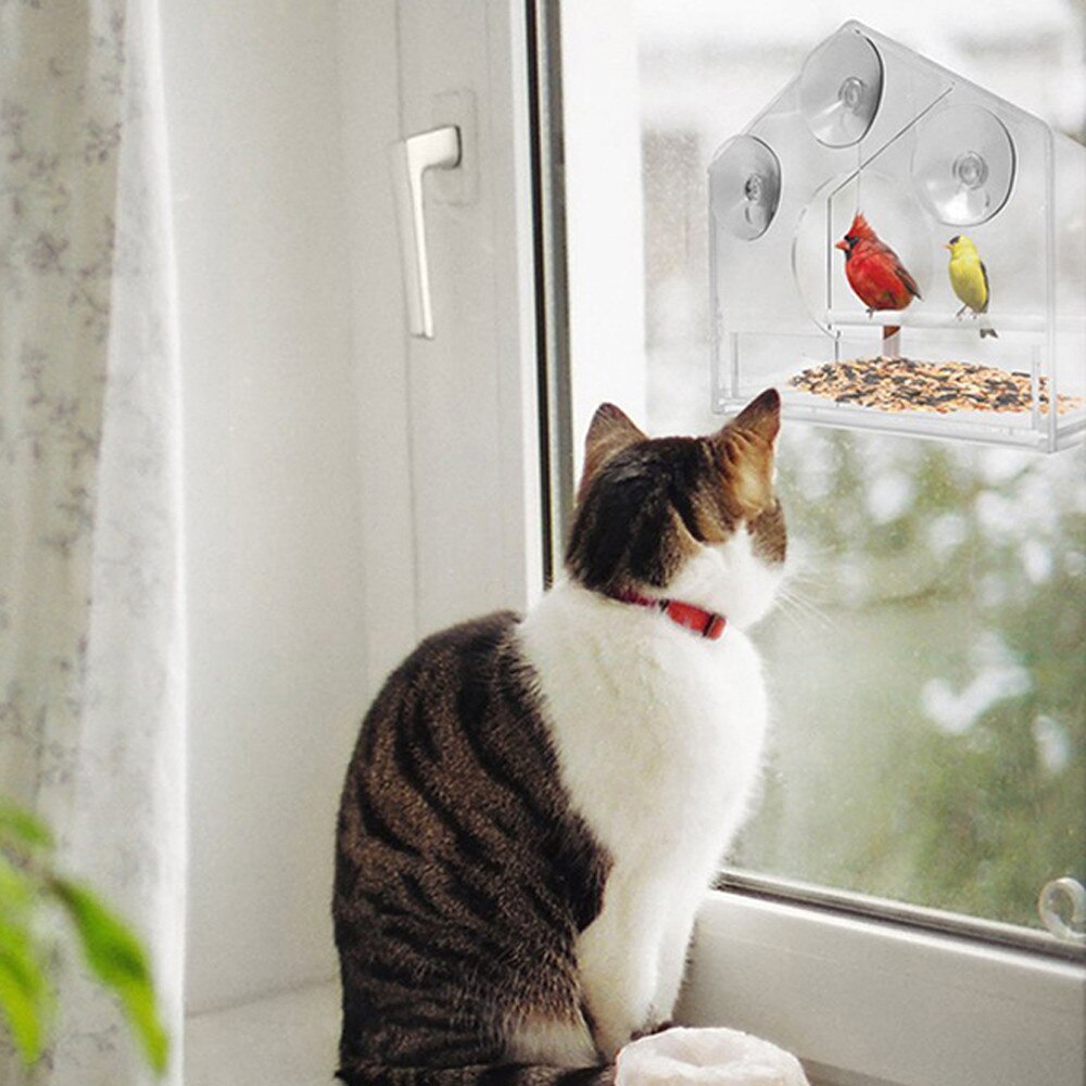 Fenêtre En Verre transparent De Mangeoire Pour Oiseaux de Table D'hôtel Graine D'arachide Suspendu D'aspiration CD