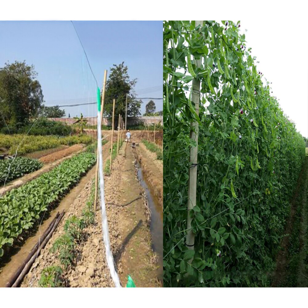 Rattan Heavy-Duty Cucumber Net Garden Elastic Trellis Vegetables Reusable Recyclable For Climbing Plants Plant Support Mesh