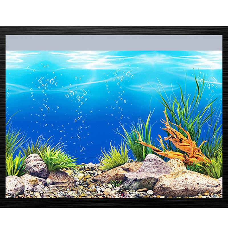 Fish Tank Background HD 3D Drawing Aquarium Glass Wall Background Drawing Double Sides Decorative Sticker