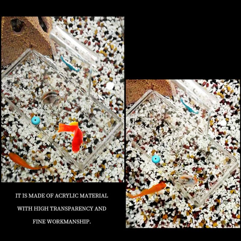 Acrylic Fish Tank Isolation Box Rearing Box Hanging Aperture 1mm / 3mm Home Aquarium Decor Fishes Transparent Clear Water Box