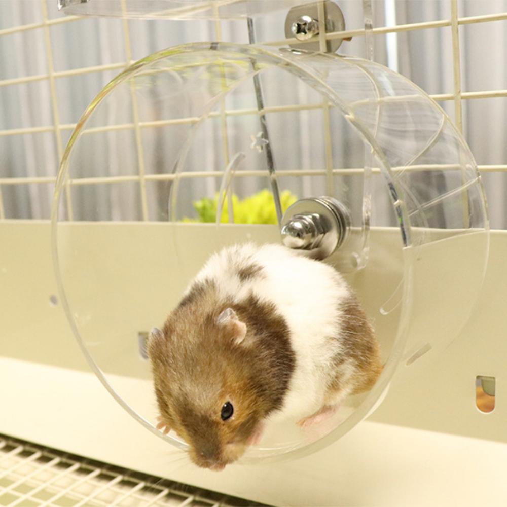 Transparent acrylic hamster wheel running treadmill wheel running large squirrel chinchilla wheel running small pet Hedgehog