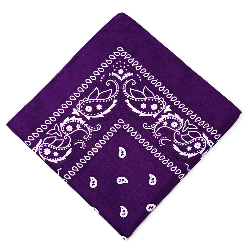 Unisex Mannen Vrouwen Bandana Haarband Cowboy Heren Biker Sport Hoofddeksels Pols Hairwrap Paisley Hoofd Wrap Vierkante Sjaal: Zilver