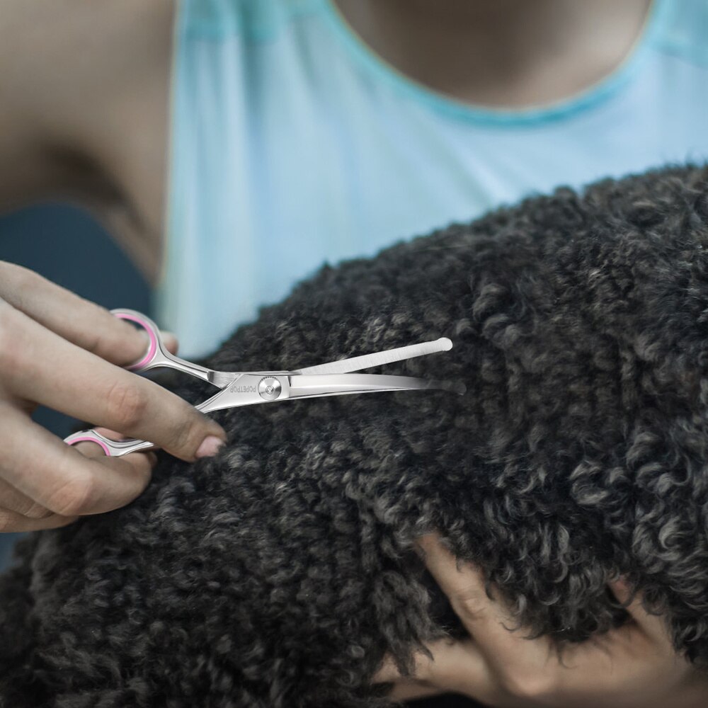 POPETPOP tijeras de peluquería canina Kit de servicio pesado de acero inoxidable tijeras de peluquería canina con seguridad punta redonda para Gato perro