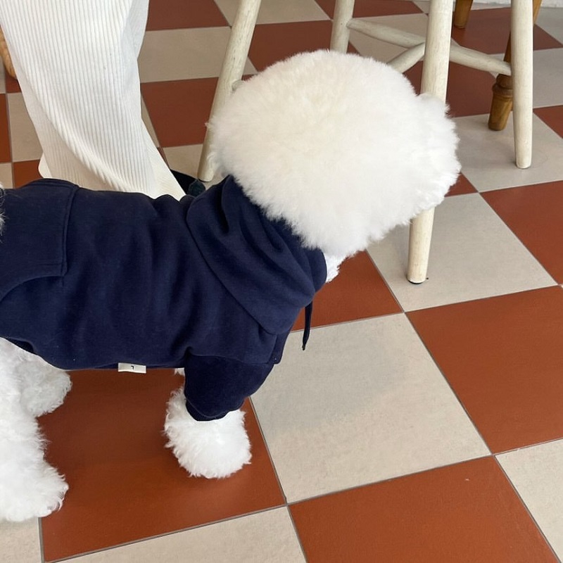 Warm Soft Fleece Hoodies for Small and Medium Dogs, Comfortable Puppy Clothes, Yorkshire Chihuahua Costumes, Pet Supply: S / black