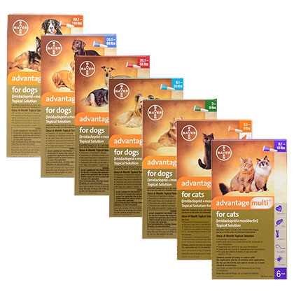 Bayer Advocate-Prevención de pulgas y garrapatas para mascotas, tratamiento multik9 Advantix con pulga y garrapata para gatos y perros