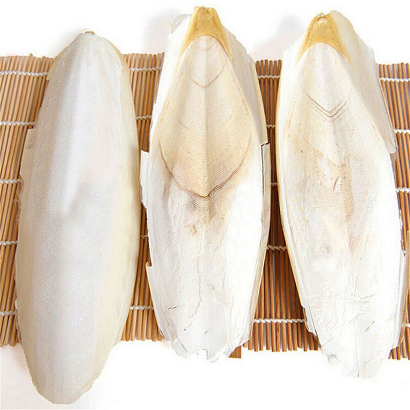 1 /2 Pcs Cuttle Fish Cuttlefish Bone For Pet Budgie Birds Reptiles Tortoise Food