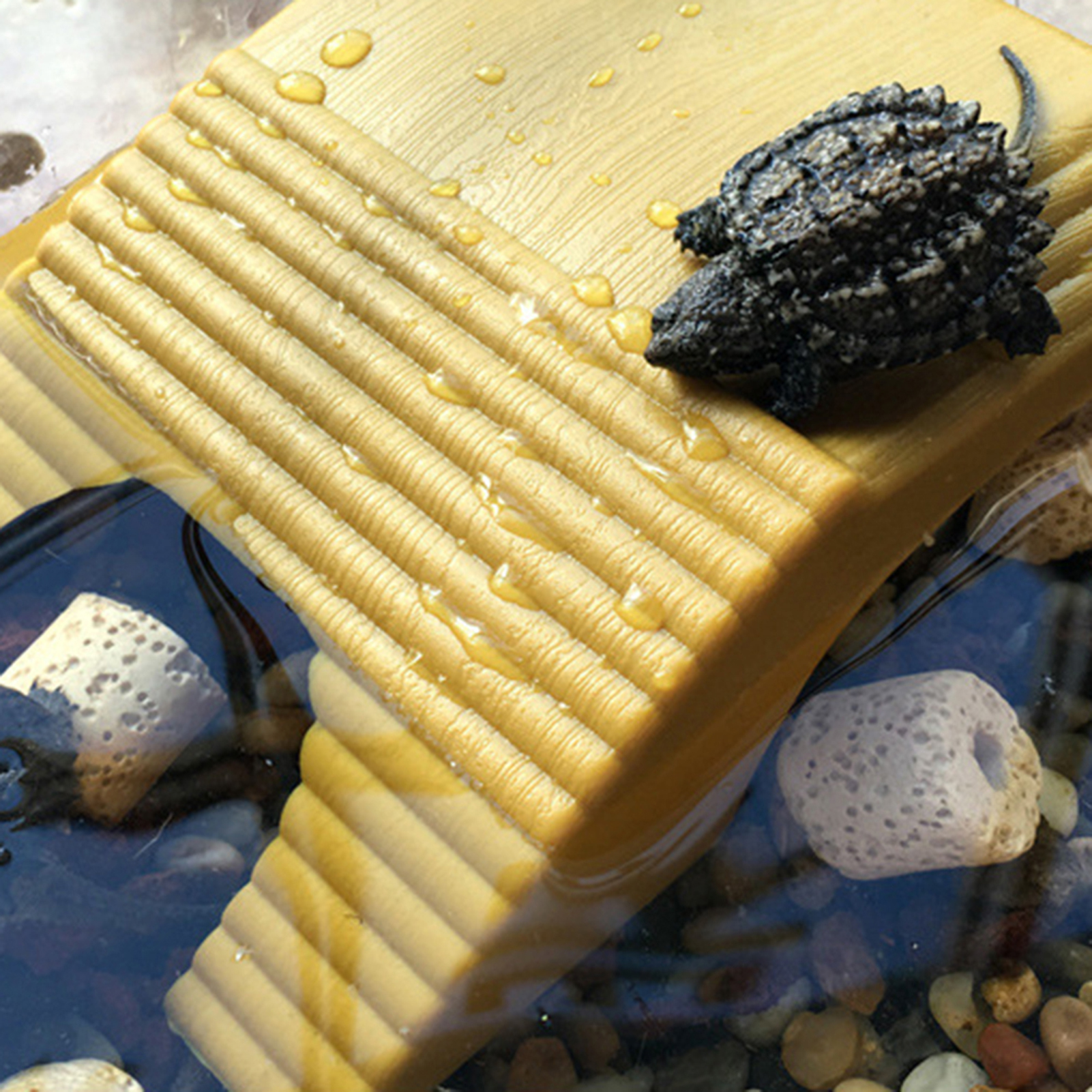 Floating Platform Muti-Purpose Double Track Climbing ABS Climbing Tortoise Platform for Turtle