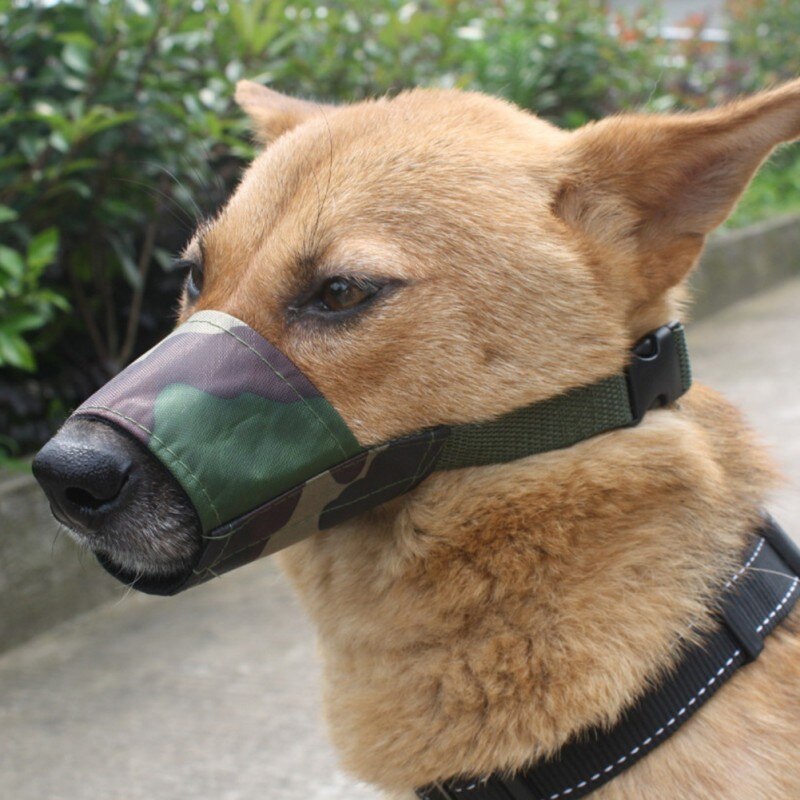Masque pour animaux de compagnie chien bouclé respirant Anti aboiement mordant chiot formation Protection fournitures