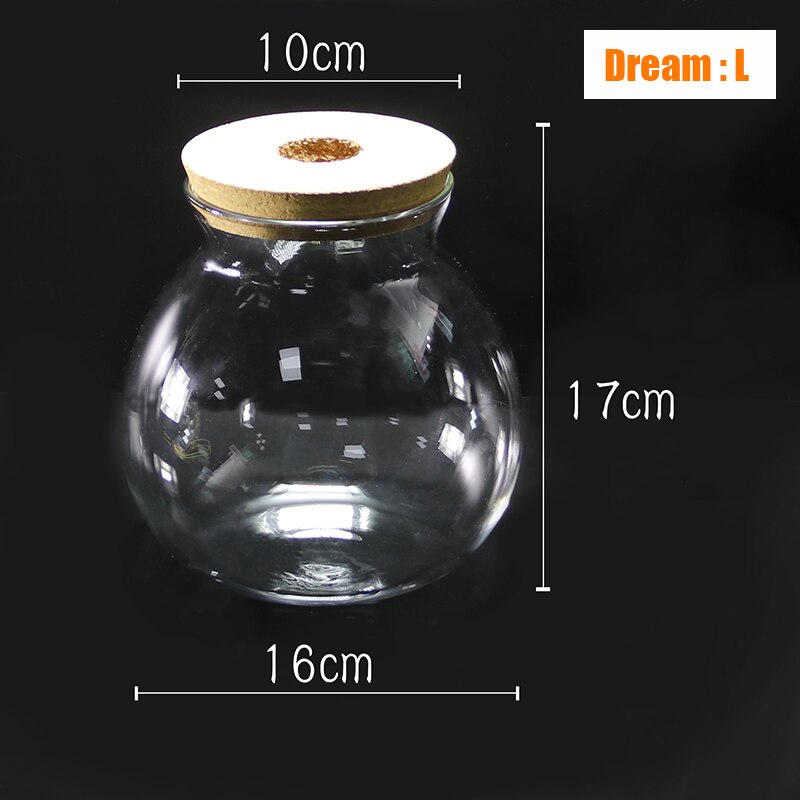 Mini Glass Fish Tank Betta Fish Tank Aquarium Fish Tank Micro Landscape Ecological Bottle Empty Bottle DIY Aquarium Accessories: Dream L
