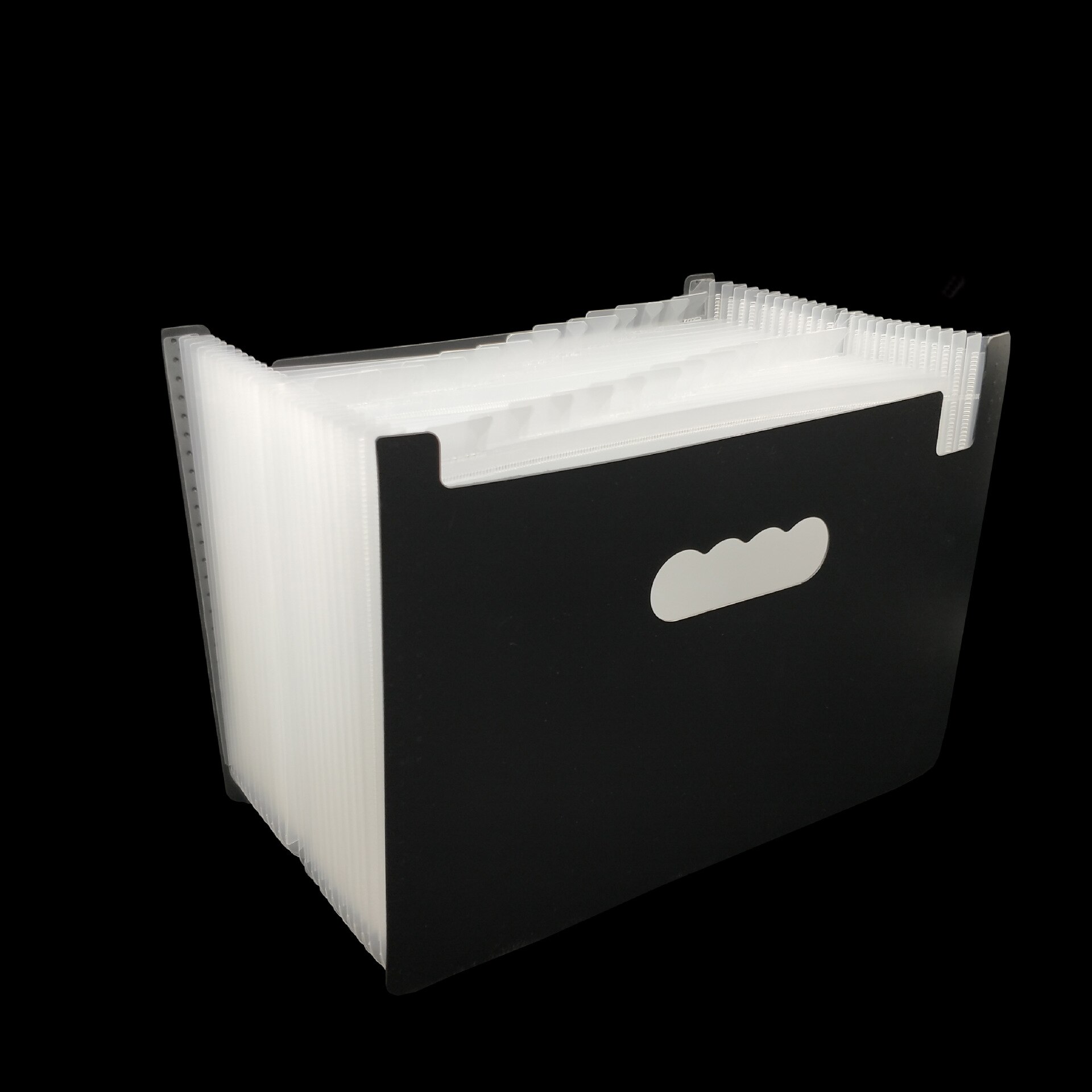 12 kieszenie rozkładana teczka A4 rozmiar listu przenośna teczka na dokumenty czarna teczka na dokumenty przechowywanie na biurko akordeon plik produktu