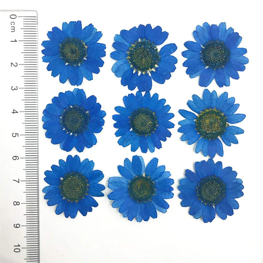 Silicone world Dried Flower Dry Plants For Epoxy Resin Pendant Necklace Jewelry Making Craft DIY Accessories UV Expoxy Flower: black