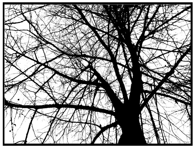 Haione Weihnachtsmann Stempel - Klar Silikon Stempel Für DIY Karten Deko