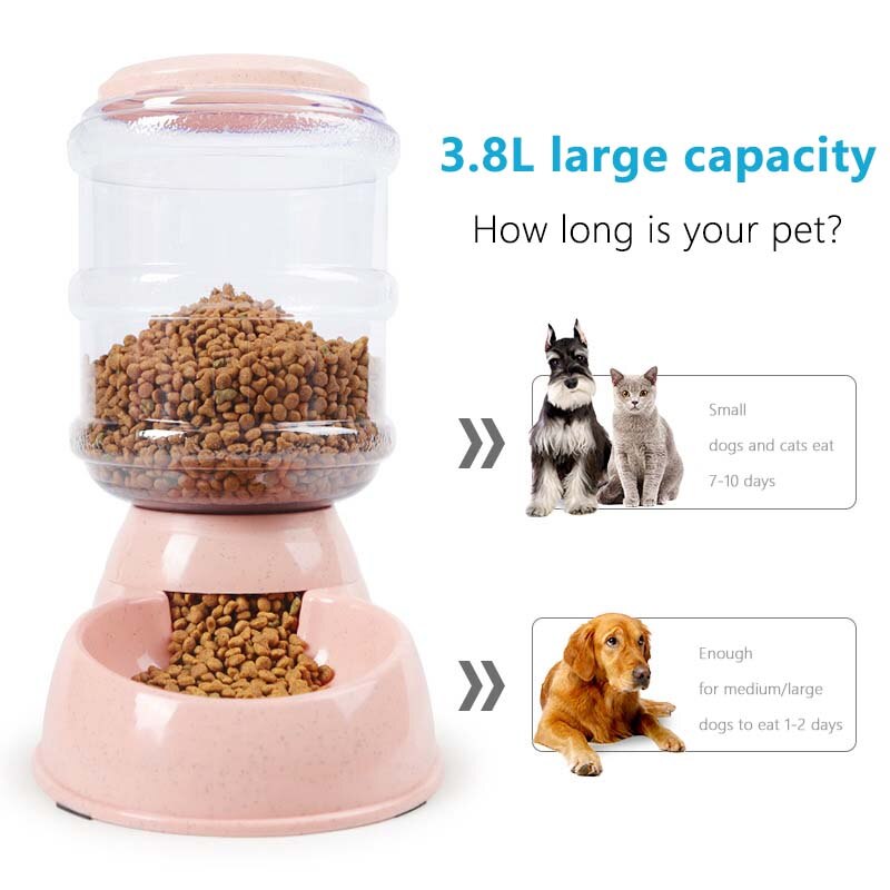 Distributeur automatique d'eau pour chien et chat, grande capacité
