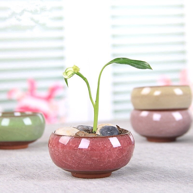 Maceta de cerámica vidriada con grietas, planta de macetas flor suculenta, maceta para hogar, oficina, escritorio, planta de decoración