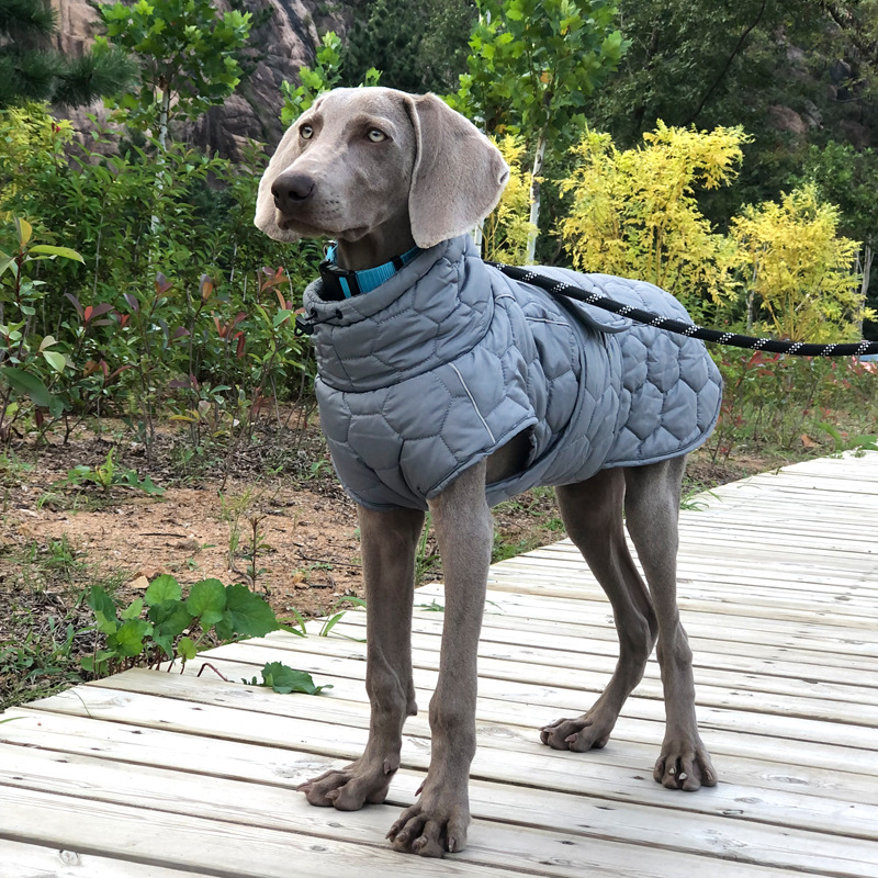 Vêtements chauds d'hiver pour chiens, combinaison de neige épaisse et réfléchissante, doudoune pour chiens de grande race, Parkas, vêtements pour Whippet Greyhound: M / WHITE