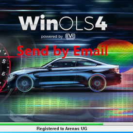 2022 venda quente winols 4.7 com plugins + 2021amos + ecm titânio + ferramenta de serviço immo v1.2 todos os dados software de reparo automático: Vermelho